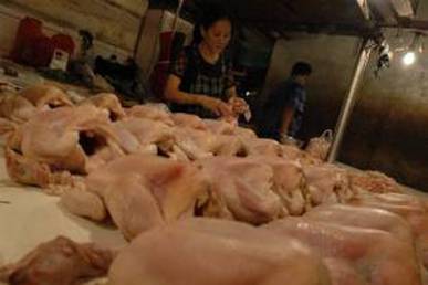  Harga Daging Ayam Ras di Balikpapan Naik